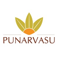 Punarvasu Financial Services Private Limited logo, Punarvasu Financial Services Private Limited contact details