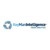 KeyMan Intelligence logo, KeyMan Intelligence contact details