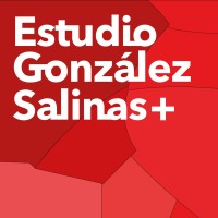 Estudio González Salinas + logo, Estudio González Salinas + contact details