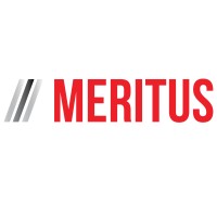 Meritus Consulting logo, Meritus Consulting contact details