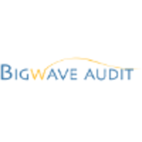 Big Wave Audit logo, Big Wave Audit contact details