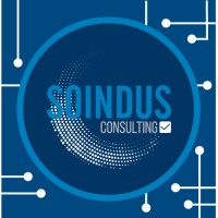 Soindus Consulting logo, Soindus Consulting contact details