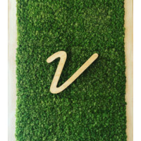 Vinaigrette Salad Kitchen logo, Vinaigrette Salad Kitchen contact details