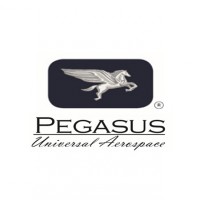 Pegasus Universal Aerospace logo, Pegasus Universal Aerospace contact details