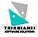 Tribbianis Software Solutions Pvt Ltd logo, Tribbianis Software Solutions Pvt Ltd contact details