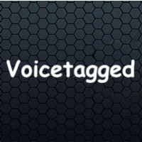 Voicetagged Limited logo, Voicetagged Limited contact details