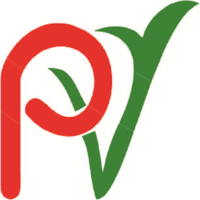 Pious Vision logo, Pious Vision contact details