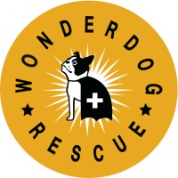 Wonder Dog Rescue logo, Wonder Dog Rescue contact details