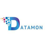 Datamon IT Services Private Limited logo, Datamon IT Services Private Limited contact details