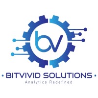 Bitvivid Solutions logo, Bitvivid Solutions contact details