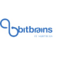 Bitbrains IT Services - since September 2015 Solvinity logo, Bitbrains IT Services - since September 2015 Solvinity contact details