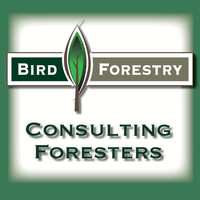 Bird Forestry logo, Bird Forestry contact details