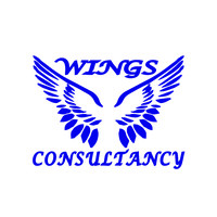 Wings Consultancy logo, Wings Consultancy contact details