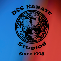 D&S Karate Studios logo, D&S Karate Studios contact details