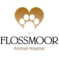 Flossmoor Animal Hospital logo, Flossmoor Animal Hospital contact details