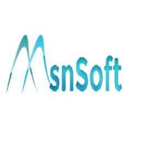 MsnSoft logo, MsnSoft contact details