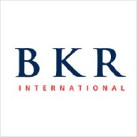 BKR International - Asia Pacific Region logo, BKR International - Asia Pacific Region contact details