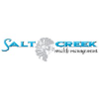 Salt Creek Wealth Management LLC logo, Salt Creek Wealth Management LLC contact details