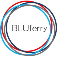 Bluferry Consulting (Pty) Ltd logo, Bluferry Consulting (Pty) Ltd contact details