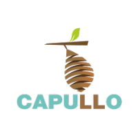 Capullo school of fine arts & designs Pvt ltd logo, Capullo school of fine arts & designs Pvt ltd contact details