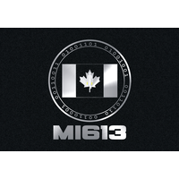 MI613 Inc logo, MI613 Inc contact details