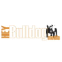 Hey Bulldog Media logo, Hey Bulldog Media contact details