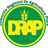 Direccion Regional de Agricultura - Piura logo, Direccion Regional de Agricultura - Piura contact details