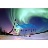 Angayut LLC logo, Angayut LLC contact details