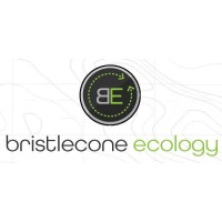 Bristlecone Ecology logo, Bristlecone Ecology contact details