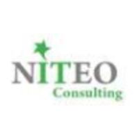 NITEO Consulting Ltd logo, NITEO Consulting Ltd contact details