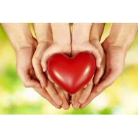 The Heart Matters Foster Family Agency logo, The Heart Matters Foster Family Agency contact details