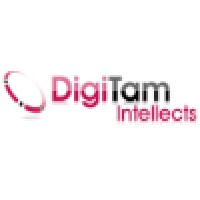 DigiTam Intellects Consulting Pvt. Ltd logo, DigiTam Intellects Consulting Pvt. Ltd contact details