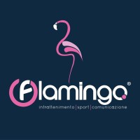 Flamingo Entertainment logo, Flamingo Entertainment contact details