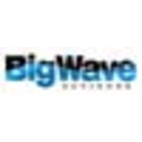 Big Wave Advisors logo, Big Wave Advisors contact details