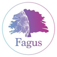 Fagus Content logo, Fagus Content contact details