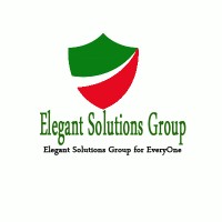 Elegant Solutions Group logo, Elegant Solutions Group contact details