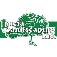 Lucia Landscaping Inc. logo, Lucia Landscaping Inc. contact details