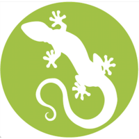 Gekko Analytics logo, Gekko Analytics contact details