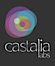 Castalia Research Labs logo, Castalia Research Labs contact details