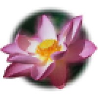 Lotus Group Counseling logo, Lotus Group Counseling contact details