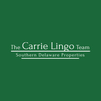 The Carrie Lingo Team logo, The Carrie Lingo Team contact details