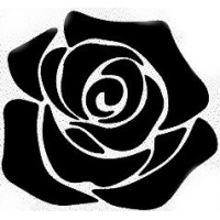 Cynthia Rose & Co. logo, Cynthia Rose & Co. contact details