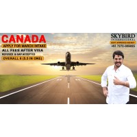 SKYBIRD INTERNATIONAL logo, SKYBIRD INTERNATIONAL contact details