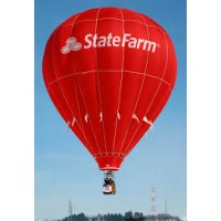 State Farm Insurance Inc logo, State Farm Insurance Inc contact details