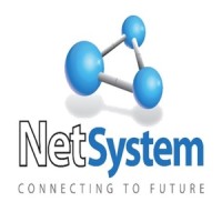 NetSystem S.A. logo, NetSystem S.A. contact details