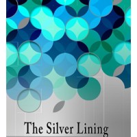 Silver Lining Institute, LLC logo, Silver Lining Institute, LLC contact details