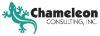 Chameleon Consulting, Inc. logo, Chameleon Consulting, Inc. contact details