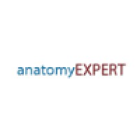 anatomyEXPERT logo, anatomyEXPERT contact details