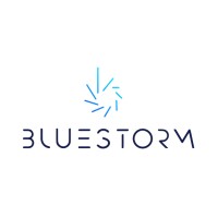 Bluestorm (Web 3.0 Talent Specialists) logo, Bluestorm (Web 3.0 Talent Specialists) contact details