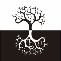 The Roots India - A Multidisciplinary Creative Lab logo, The Roots India - A Multidisciplinary Creative Lab contact details